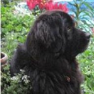 Tula