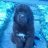 Phury